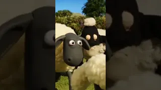 Shaun the sheep Thief #cartoon #shaunthesheep #viral