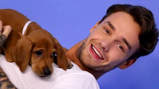 Liam Payne Plays With Puppies