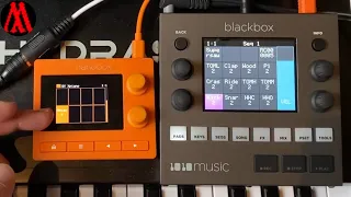1010music blackbox & nanobox tangerine Samplers - test / differences / ConvertWithMoss support soon
