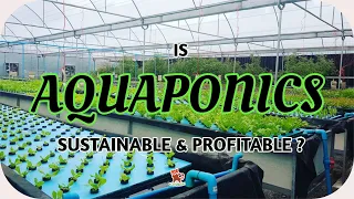 Is Commercial Aquaponics Sustainable & Profitable ? | Agriculture