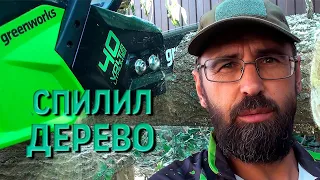 Жизнь в станице  Обрезка деревьев аккумуляторной пилой G MAX 40V Greenworks