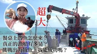 《Fixed fishing nets in Taiwan》Let's go fishing together｜Sustainable Fishing for Friendly Seas