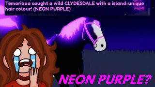 Temariaaa catches a NEON PURPLE Clyde in Wild Horse Islands on Roblox