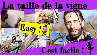 La taille de la vigne...  c'est facile !