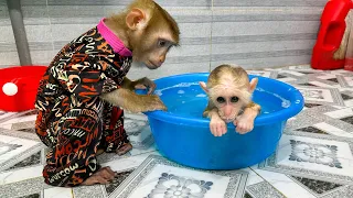Monkey Kaka carrying the baby monkey to take a bath is so cute