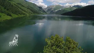 Катунский заповедник (Горный Алтай 2020) Озеро Тайменье. Дикая Сибирь. Фрагмент фильма Ивана Усанова