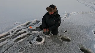 ПРИМОРОЗИЛО и НАЧАЛСЯ ЖОР КРУПНОЙ ЩУКИ / Excellent bite of a large pike