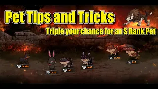 PETS: Tips and Tricks to Triple your chance to get a S Rank Pet