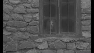 The Turin Horse 2011 - A Selected Scene