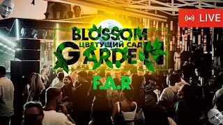 📹 F.A.R - "Blossom Garden" Fantomas Rooftop | Live 22.07.2022