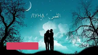 اجمل اغنية روسية عن الحب  ЛУНА gafur(Luna) _ القمر مترجمة