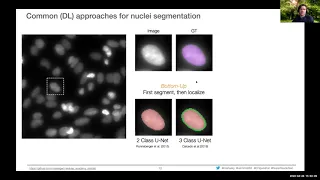 Introduction to nuclei segmentation with StarDist - [NEUBIASAcademy@Home] Webinar