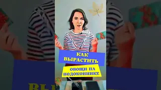 Какая земля нужна для томатов и огурцов