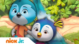 ОТВАЖНЫЕ ПТЕНЦЫ | Спасённый обед | Nick Jr. Россия