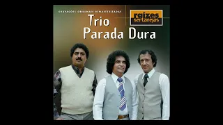 As andorinhas - Trio Parada dura