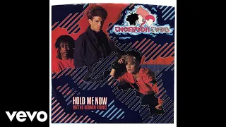 Thompson Twins - Hold Me Now (Metro Boomin Mix) [Audio]