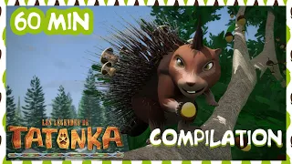 1H de Tatonka en Français 🐺 Le printemps de Pahin 🌺 Dessin animé