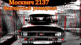 Москвич 2137, проехать 250 км и выжить