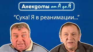 Анекдот про петуха, крем от старения и ремонт онлайн-школы.