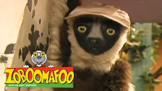 Zoboomafoo with the Kratt Brothers! SPOTS & STRIPES | Full Episodes Compilation