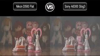 Nikon D500 Flat vs Sony A6300 Slog3 Video Test