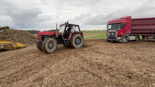 GRIL NA POLU W ŚRODKU ZIMY !