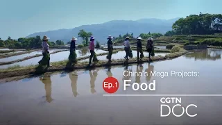 China's Mega Projects: Food