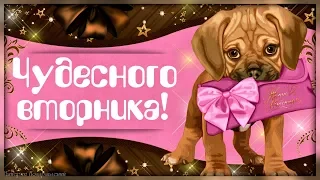 Пусть будет ВТОРНИК ваш чудесным с избытком ярких новостей!