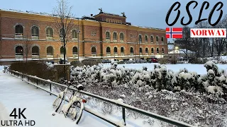 Oslo, Norway 🇳🇴 - Winter ❄️, Morning walk 2023 - 4K/60FPS - Walking Tour