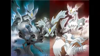 Team Event! Go Reshiram! +Bonus 10 Pack