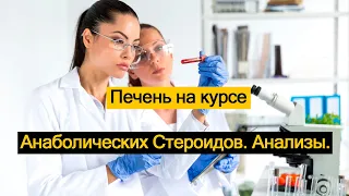 Печень на курсе Анаболических Стероидов. Анализы.