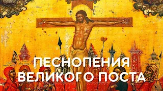 Песнопения Великого Поста - Хор подворья ТСЛ | Hymns of Great Lent