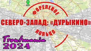 Troutmania 2024. Форелевое кольцо: РК "Дурыкино"