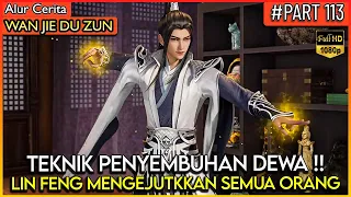 TAK ADA YANG BISA MENANDINGI PENYEMBUHAN LORD LIN FENG !! - Alur Cerita Donghua #WJDZ (PART 113)