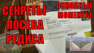 Посадка редиса от А до Я. Посев редиса в феврале в холодную теплицу.