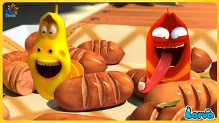 LARVA SEASON 1 EPISODE 128 - FUNNY CLIP | THE BEST OF CARTOONS BOX | SMTOON ASIA