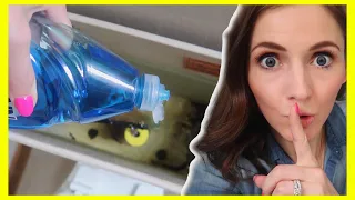 Put this MIRACLE CLEANER in your TOILET & WATCH WHAT HAPPENS NEXT!! (Genius Cleaning Hacks)