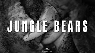 JUNGLE BEARS - Backcountry Bear Hunt