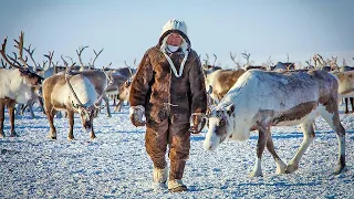 Призыв в Армию на Крайнем Севере: В чём Отличия и Особенности?