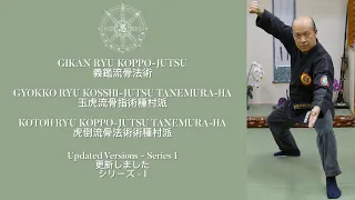 Secret Martial Arts - Series I: GIKAN RYU, GYOKKO RYU & KOTOH RYU TANEMURA-HA