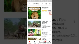 12 милых детей животных