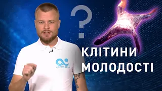 Клітини молодості | Дермальні фібробласти в Україні