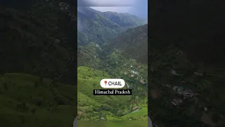 Chail near Shimla, Himachal Pradesh #shorts #incredibleindia