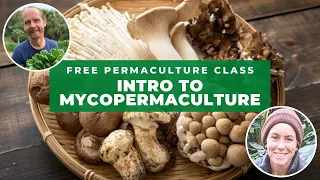 Free Permaculture Class #16 - Caitlin Fogarty