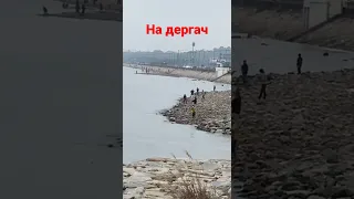 Дергач спортивная рыбалка  в корее.