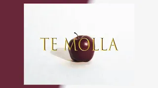 Te Molla (feat. Killua) - Arnon