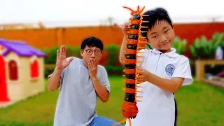 Yejun Game Play with Dad about Insect Toys