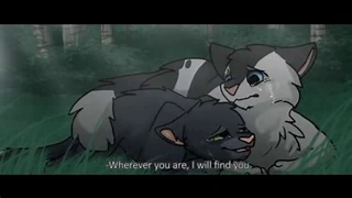 Saddest Warrior Cat Deaths