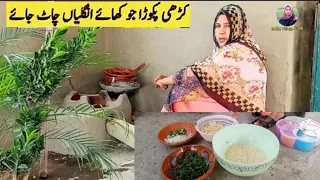 Kadhi Pakora Recipe By Rabia | Rabia Village Food | Cooking Tips And Tricks | Food Recipe