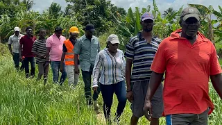 Men  Bon Konbit,Depiw se vrè Ayisyen ou paka pa renmen Video sa,Nou pran yo la,Wow wow🇭🇹#agriculture